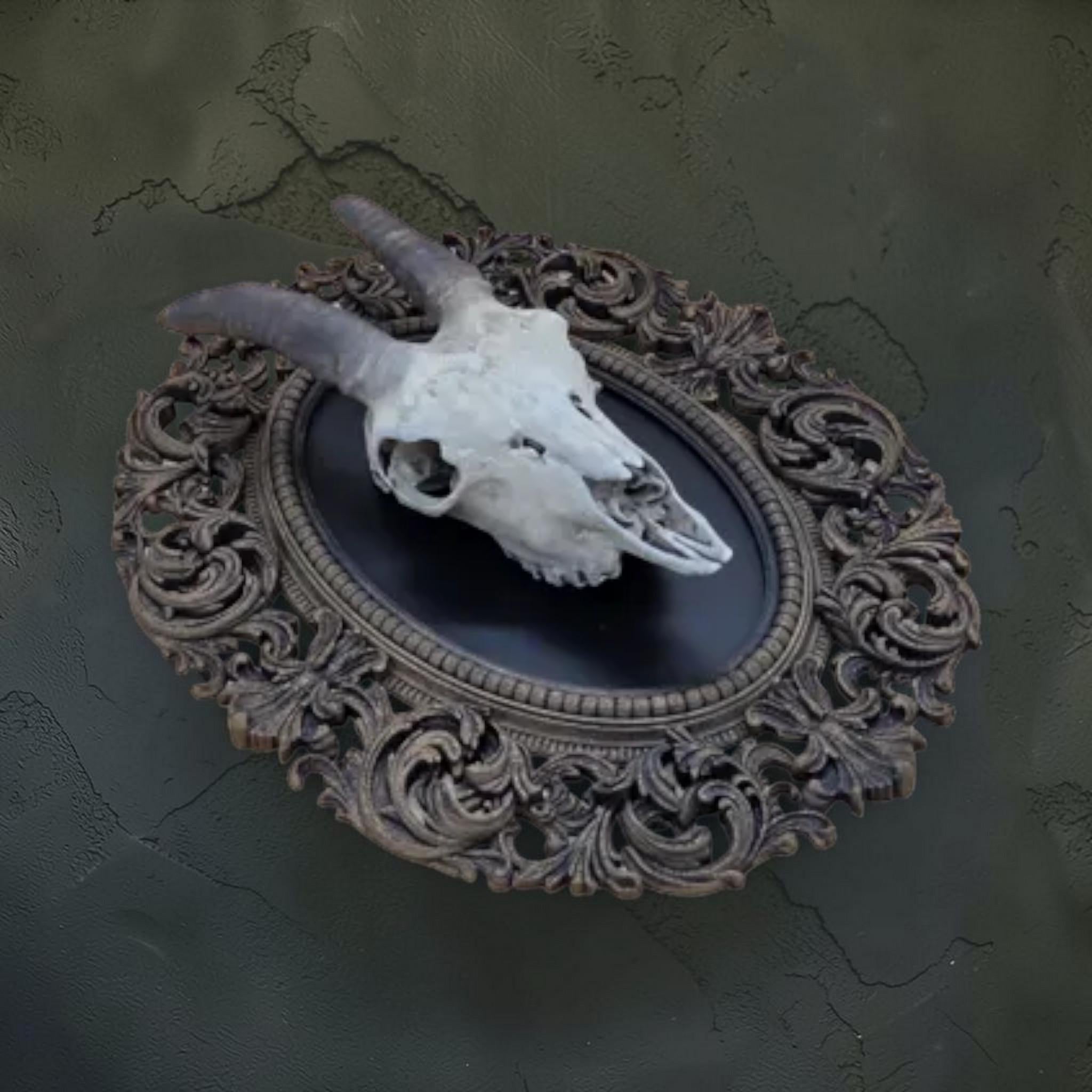 Goat skull wall plaque in baroque frame | gothic skull wall decor