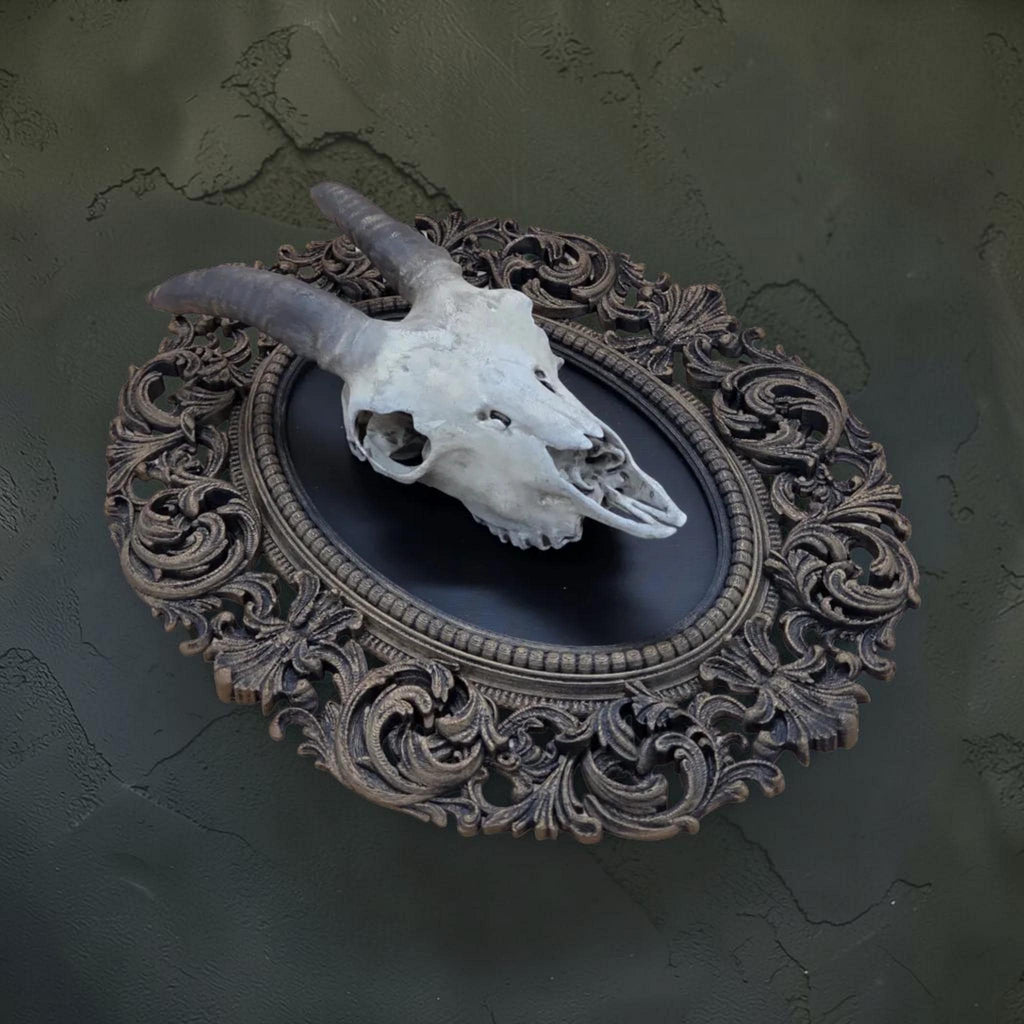 Goat skull wall plaque in baroque frame | gothic skull wall decor