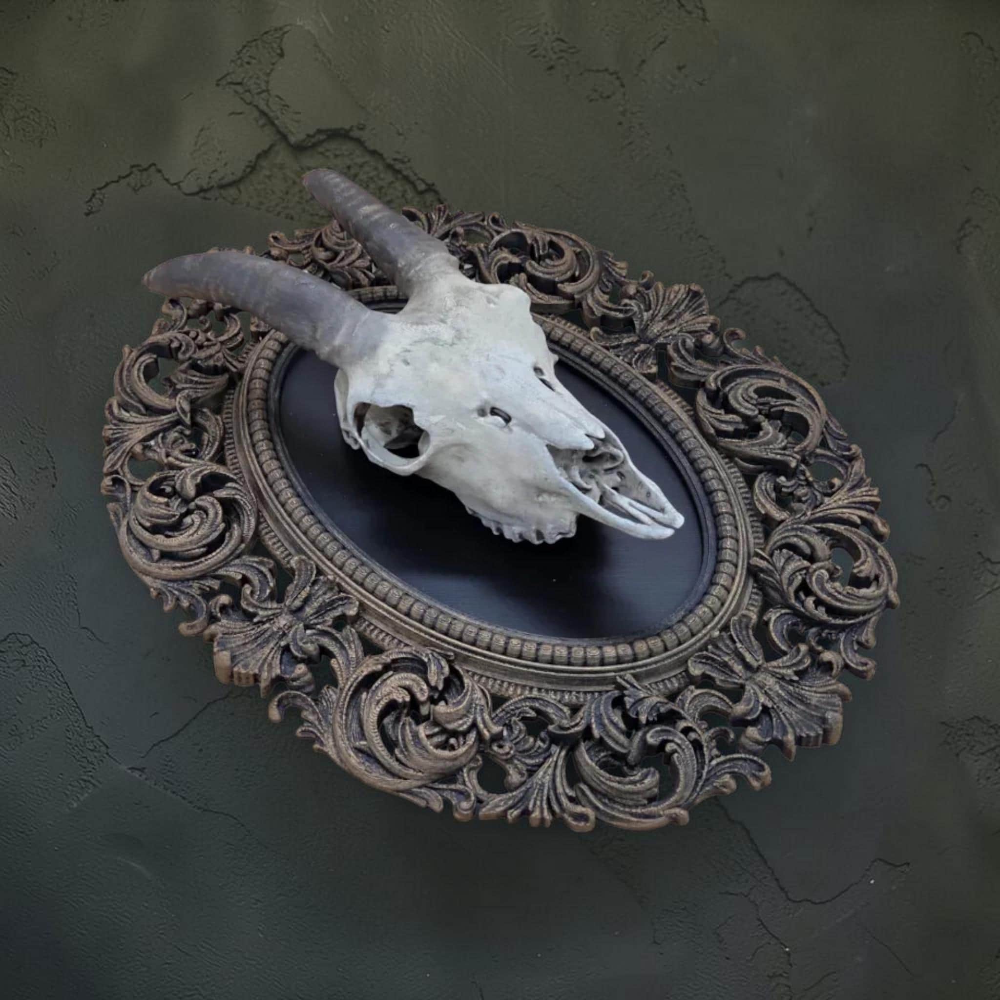 Goat skull wall plaque in baroque frame | gothic skull wall decor