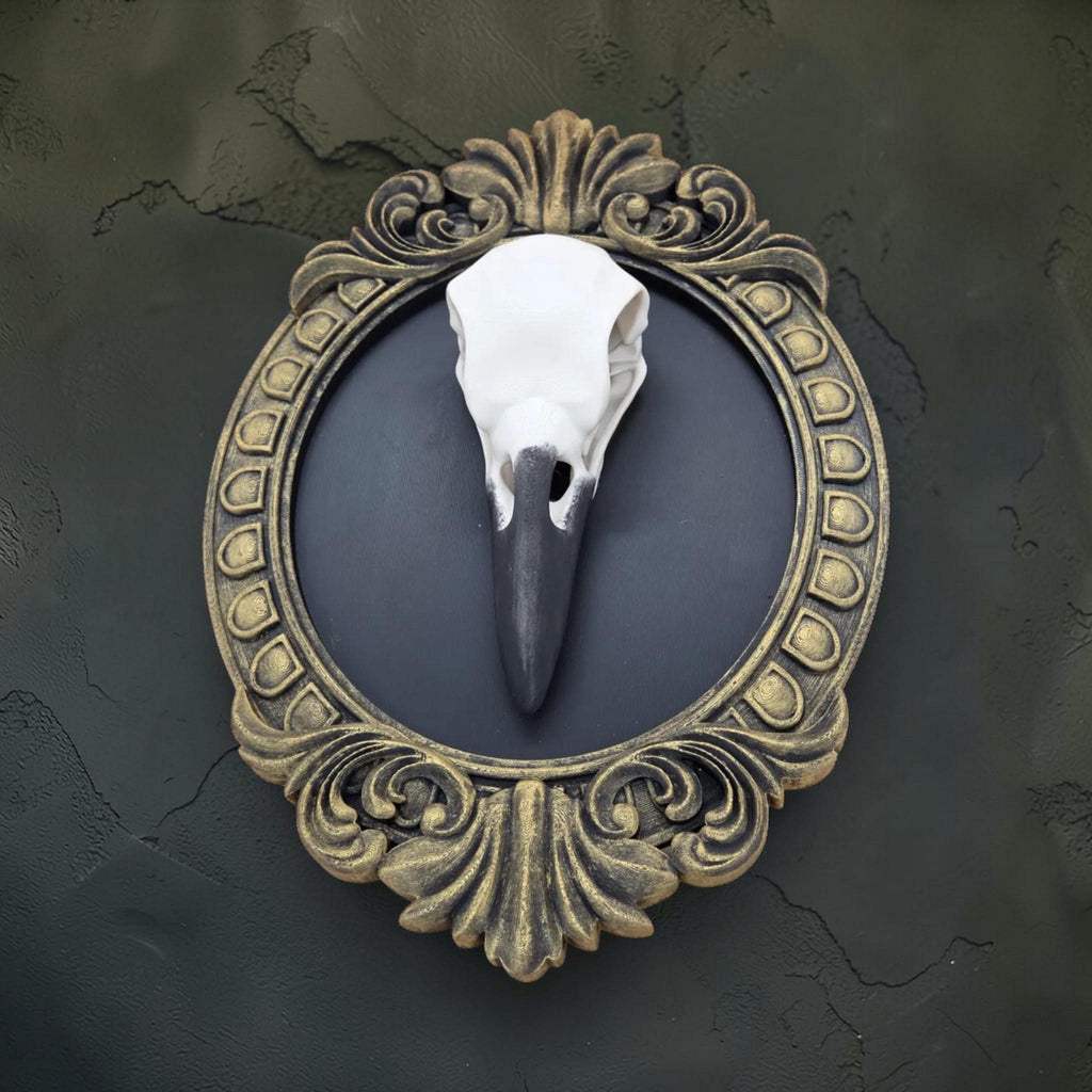 Raven skull wall plaque in baroque frame | gothic bird skull decor