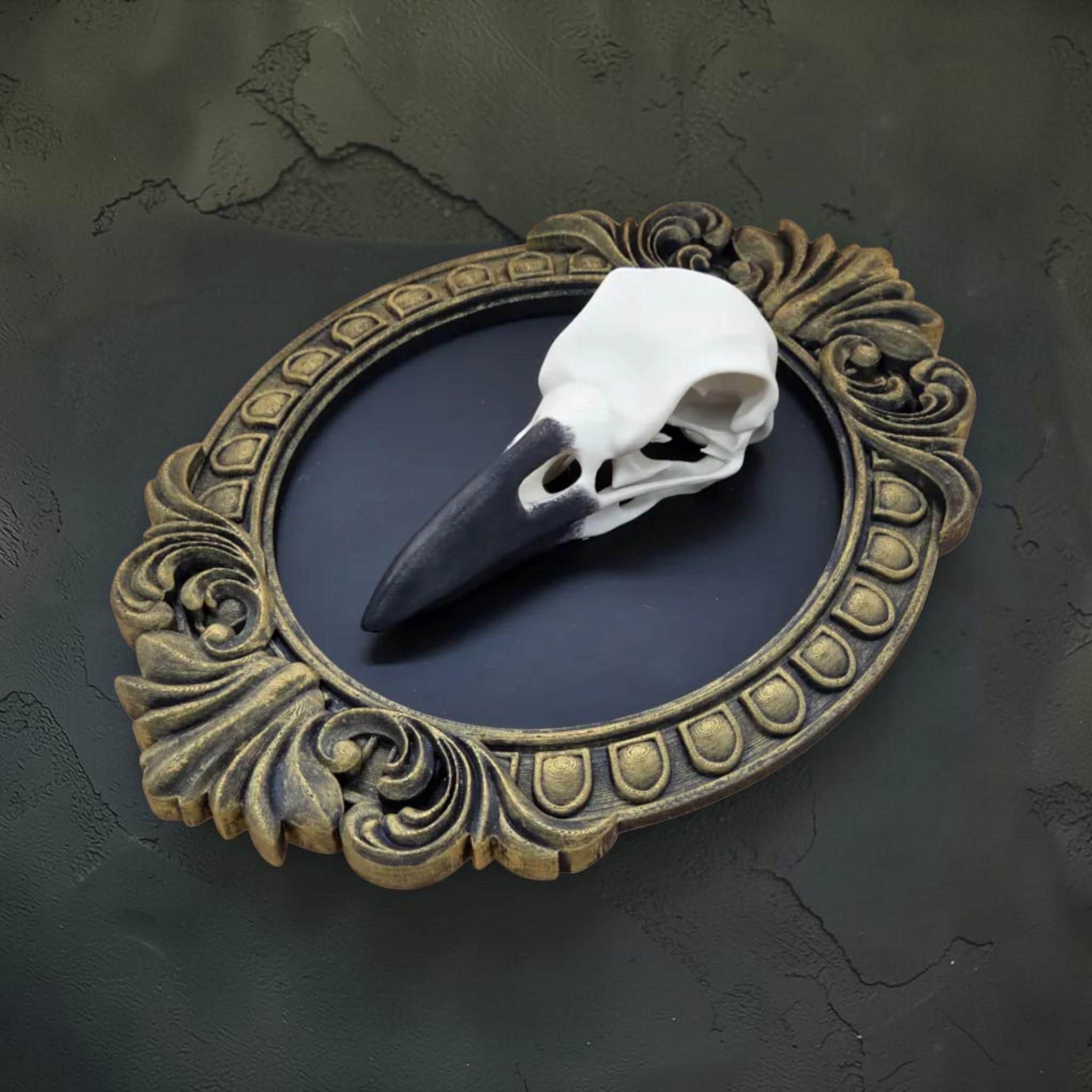 Raven skull wall plaque in baroque frame | gothic bird skull decor