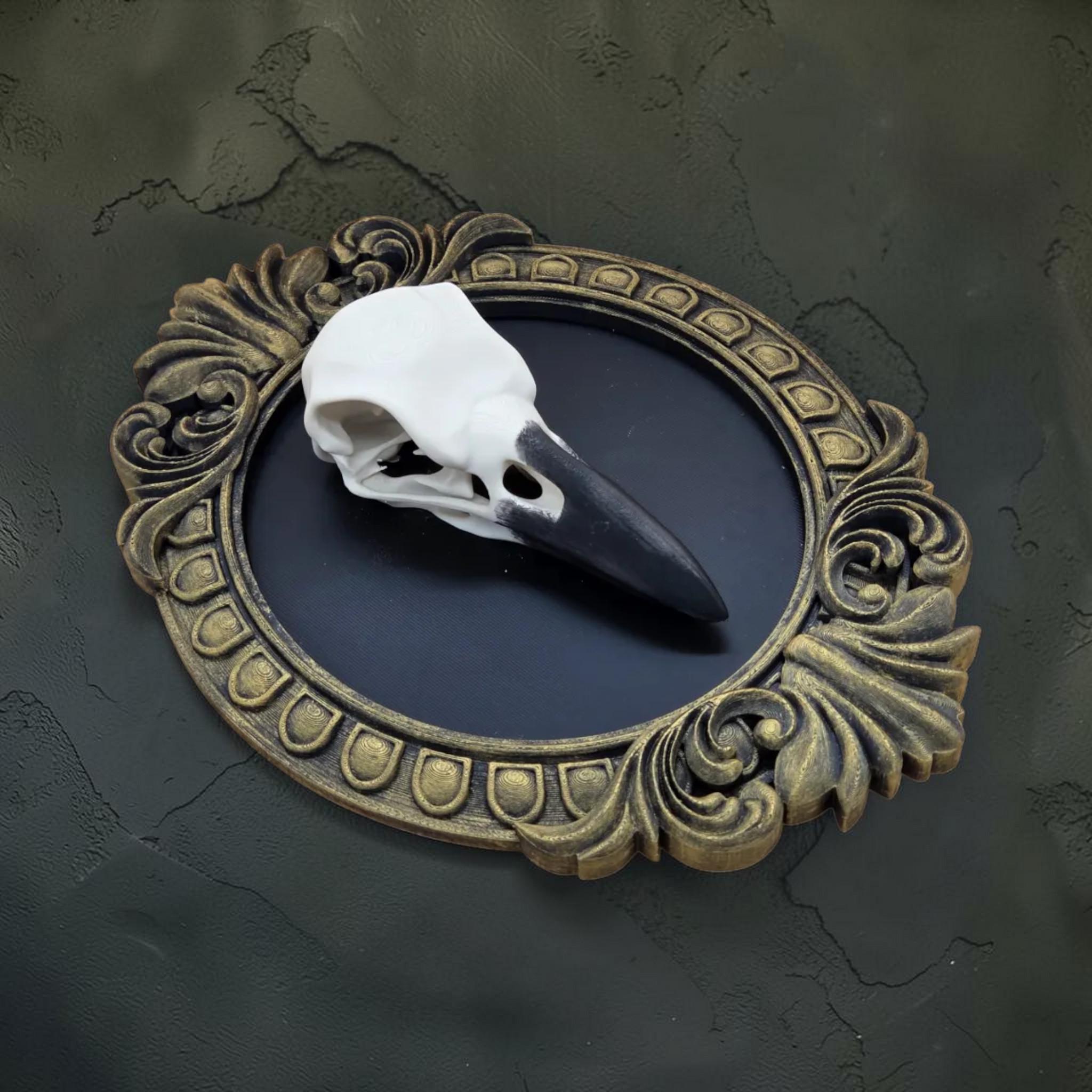 Raven skull wall plaque in baroque frame | gothic bird skull decor