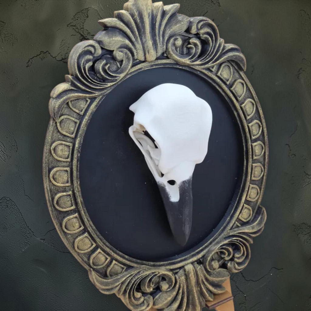 Raven skull wall plaque in baroque frame | gothic bird skull decor