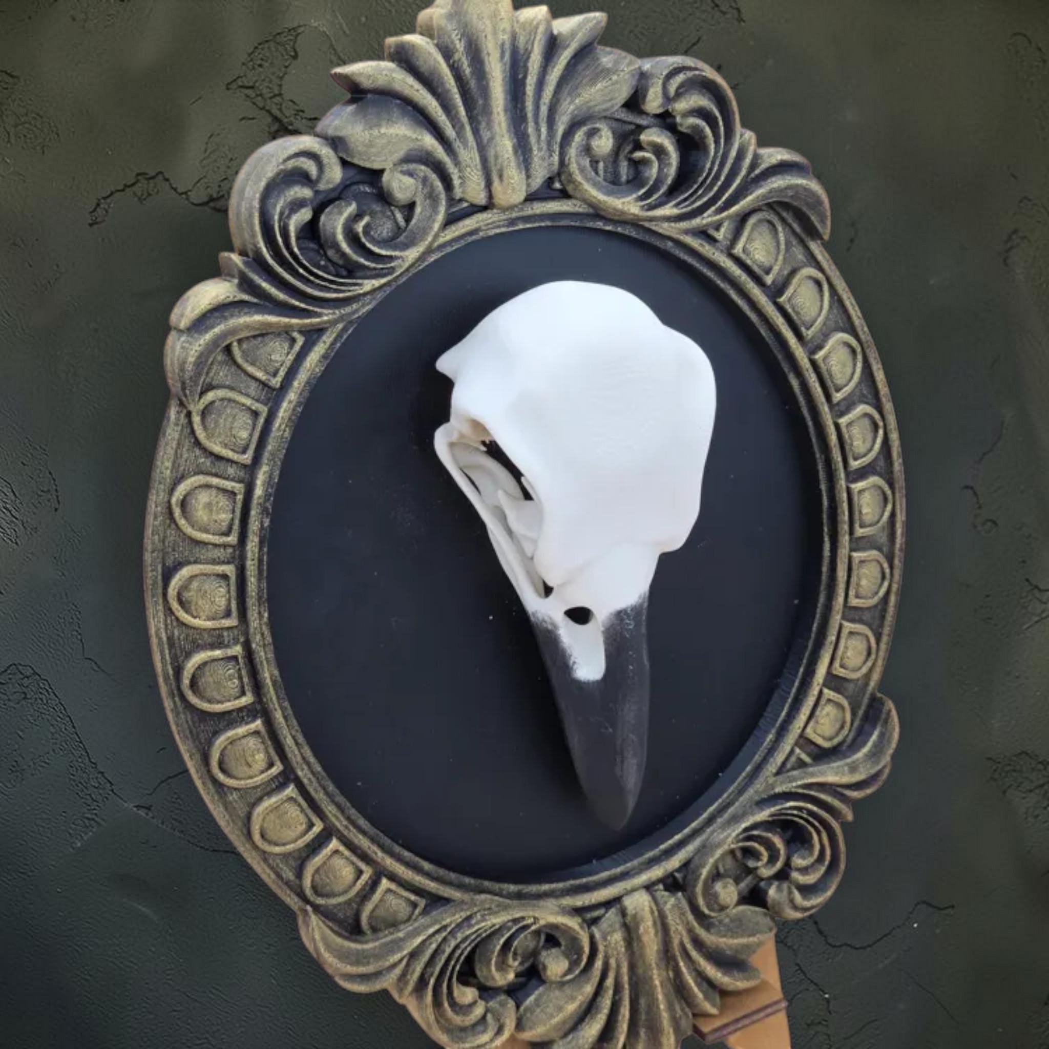 Raven skull wall plaque in baroque frame | gothic bird skull decor