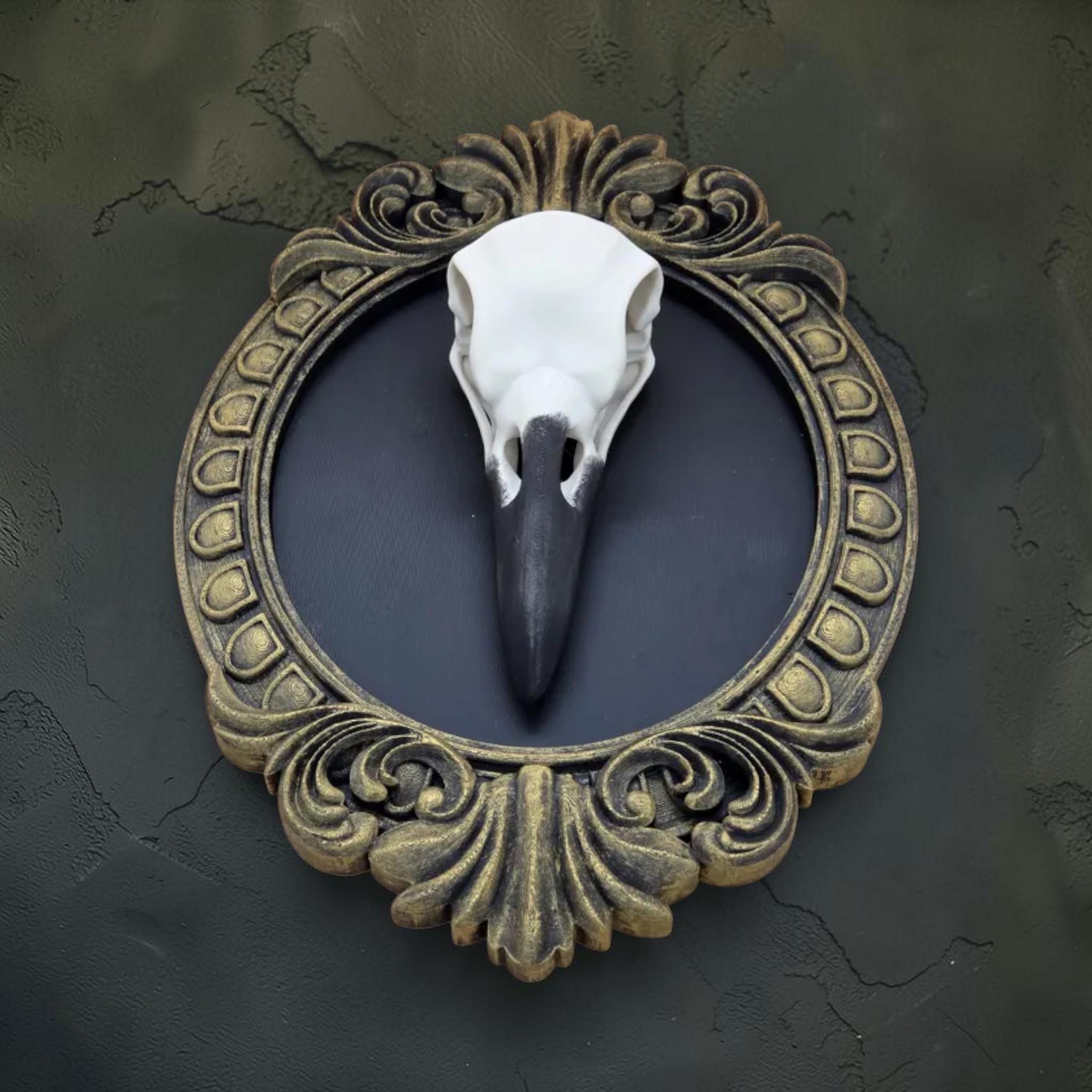 Raven skull wall plaque in baroque frame | gothic bird skull decor