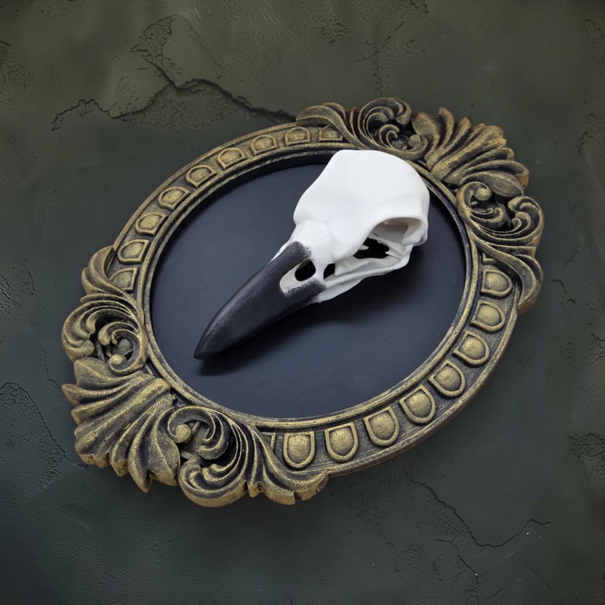 Raven skull wall plaque in baroque frame | gothic bird skull decor