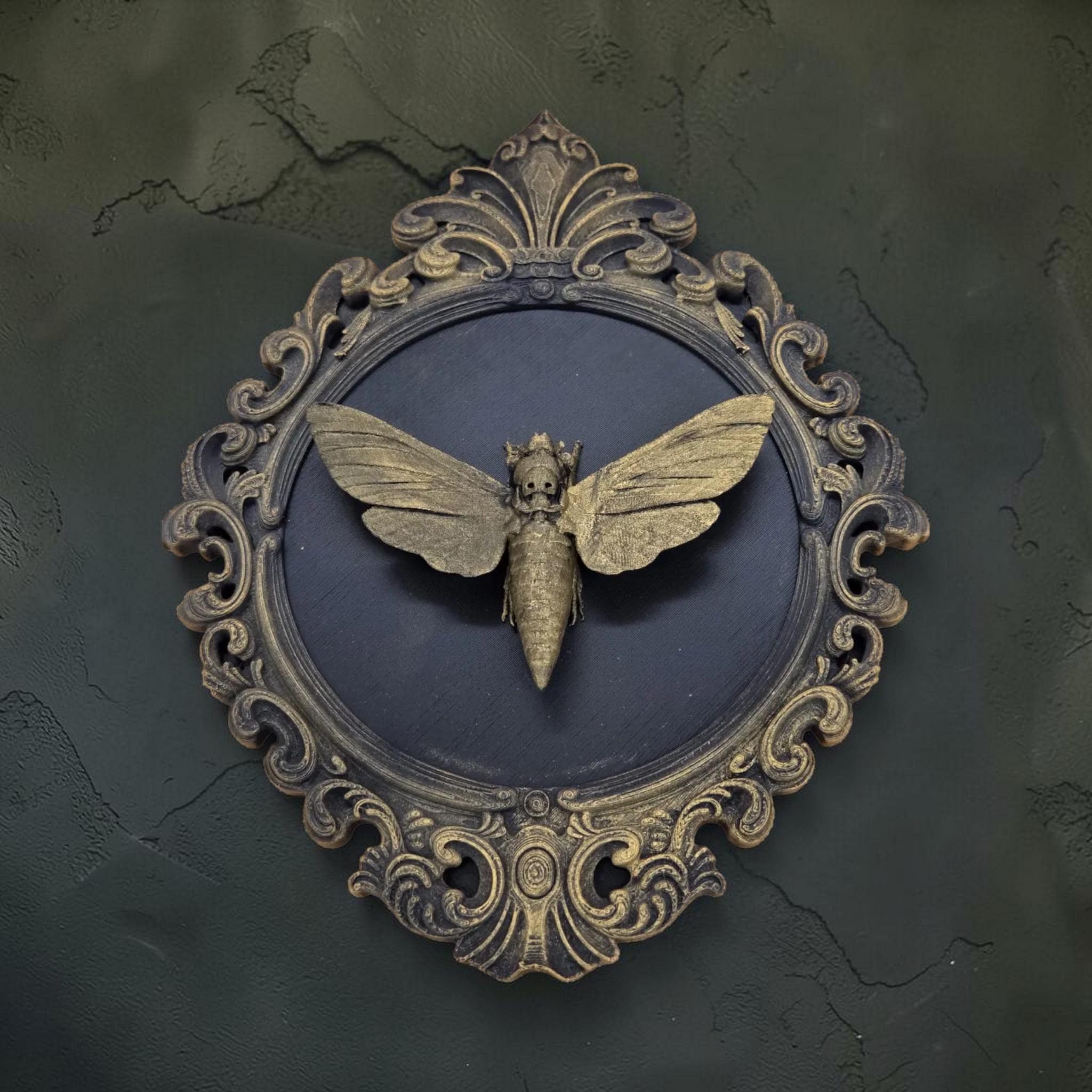 Skull moth wall plaque in baroque frame | gothic moth wall decor