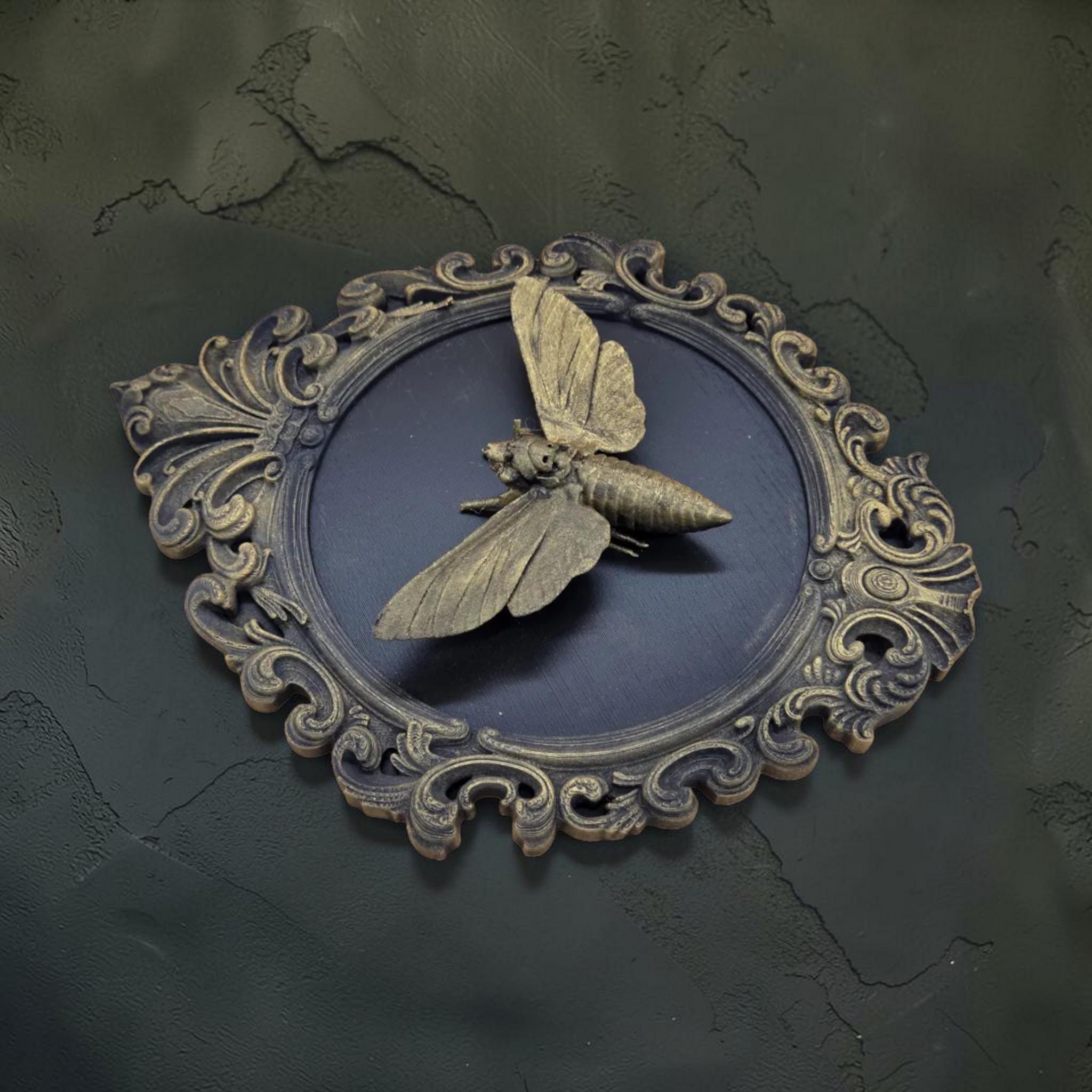 Skull moth wall plaque in baroque frame | gothic moth wall decor