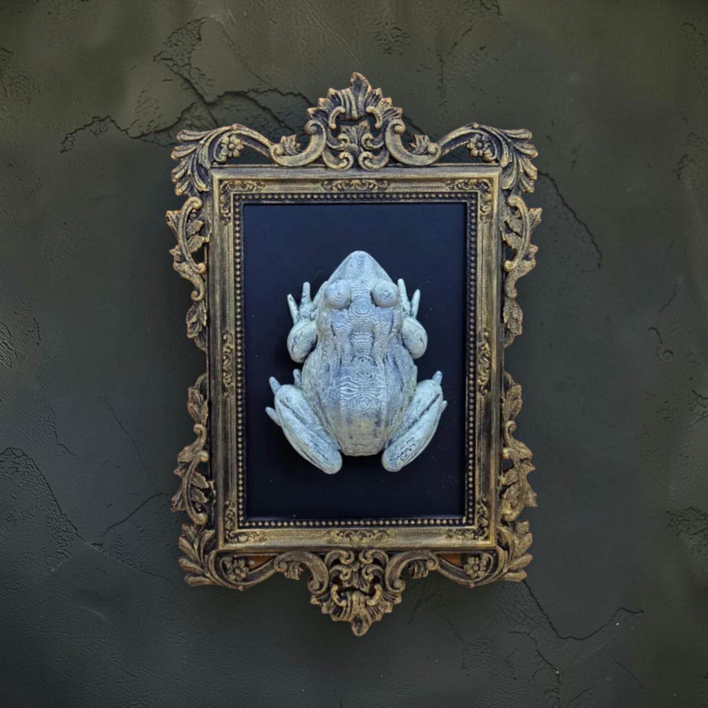 Frog wall plaque in baroque frame | whimsical nature wall decor