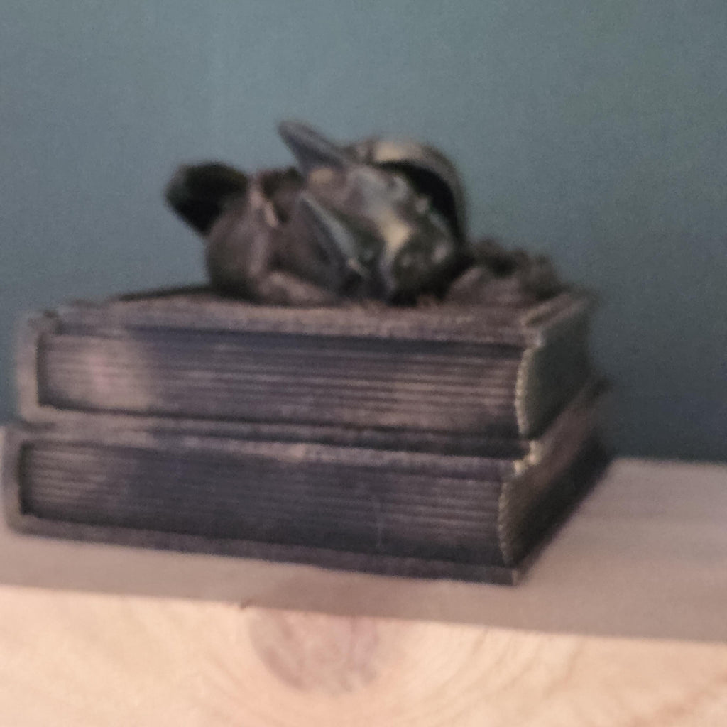 Sleeping Dragon Dice Box – Fantasy Book Dice Storage – DnD Dice Holder – Tabletop RPG Accessory – Dragon Gamer Gift