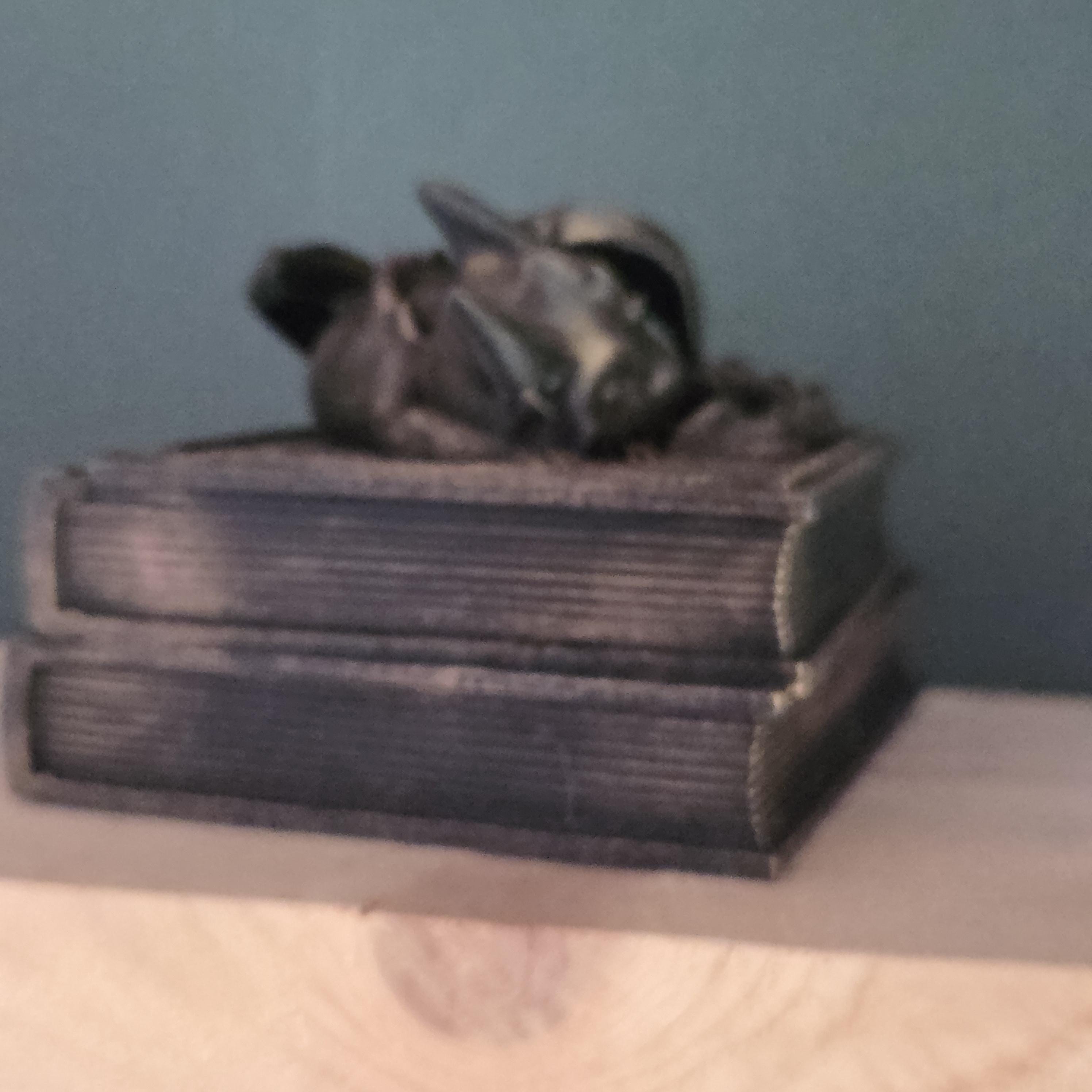 Sleeping Dragon Dice Box – Fantasy Book Dice Storage – DnD Dice Holder – Tabletop RPG Accessory – Dragon Gamer Gift