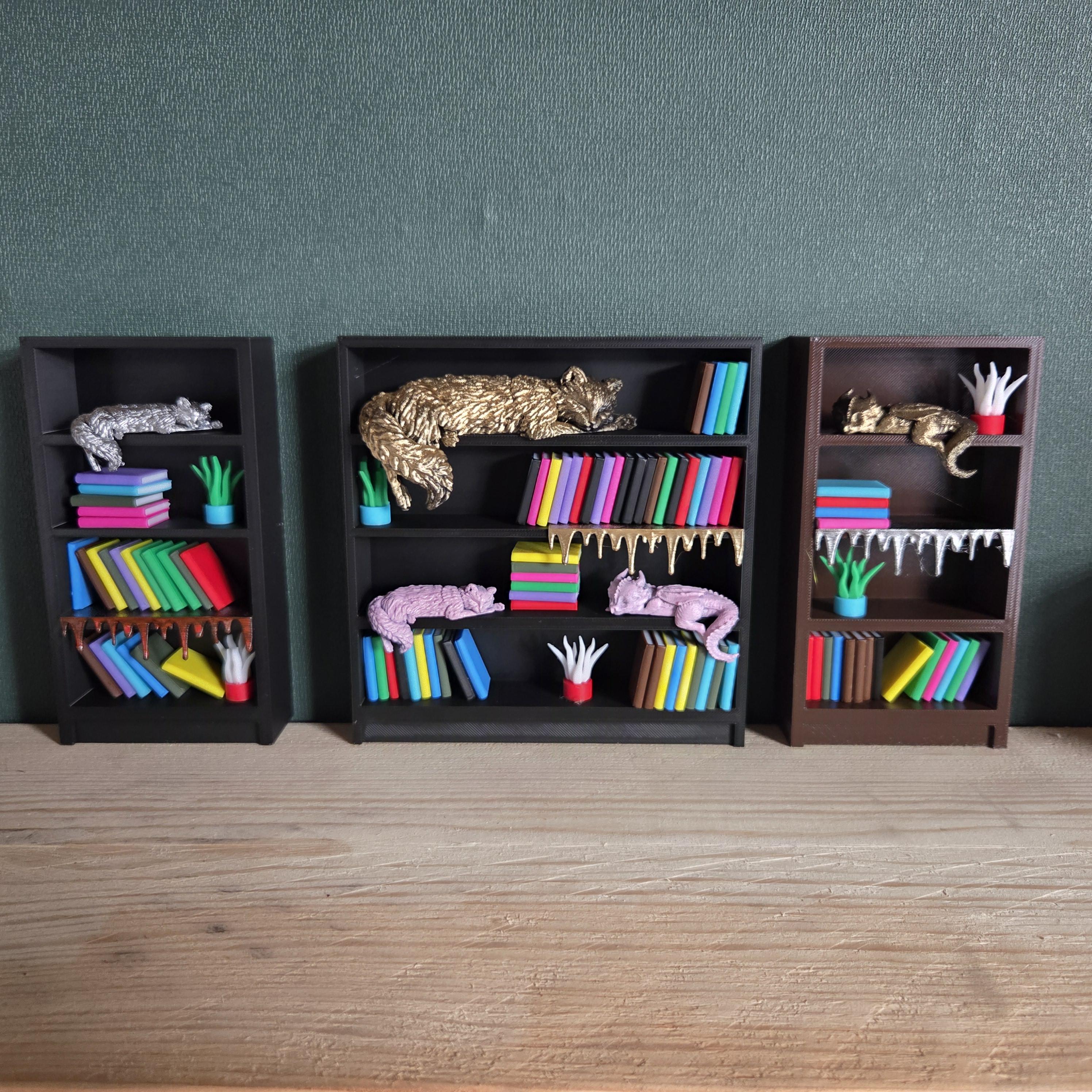 Miniature Bookshelf – Display Cabinet - Book nook bookshelf decor gift for him or her