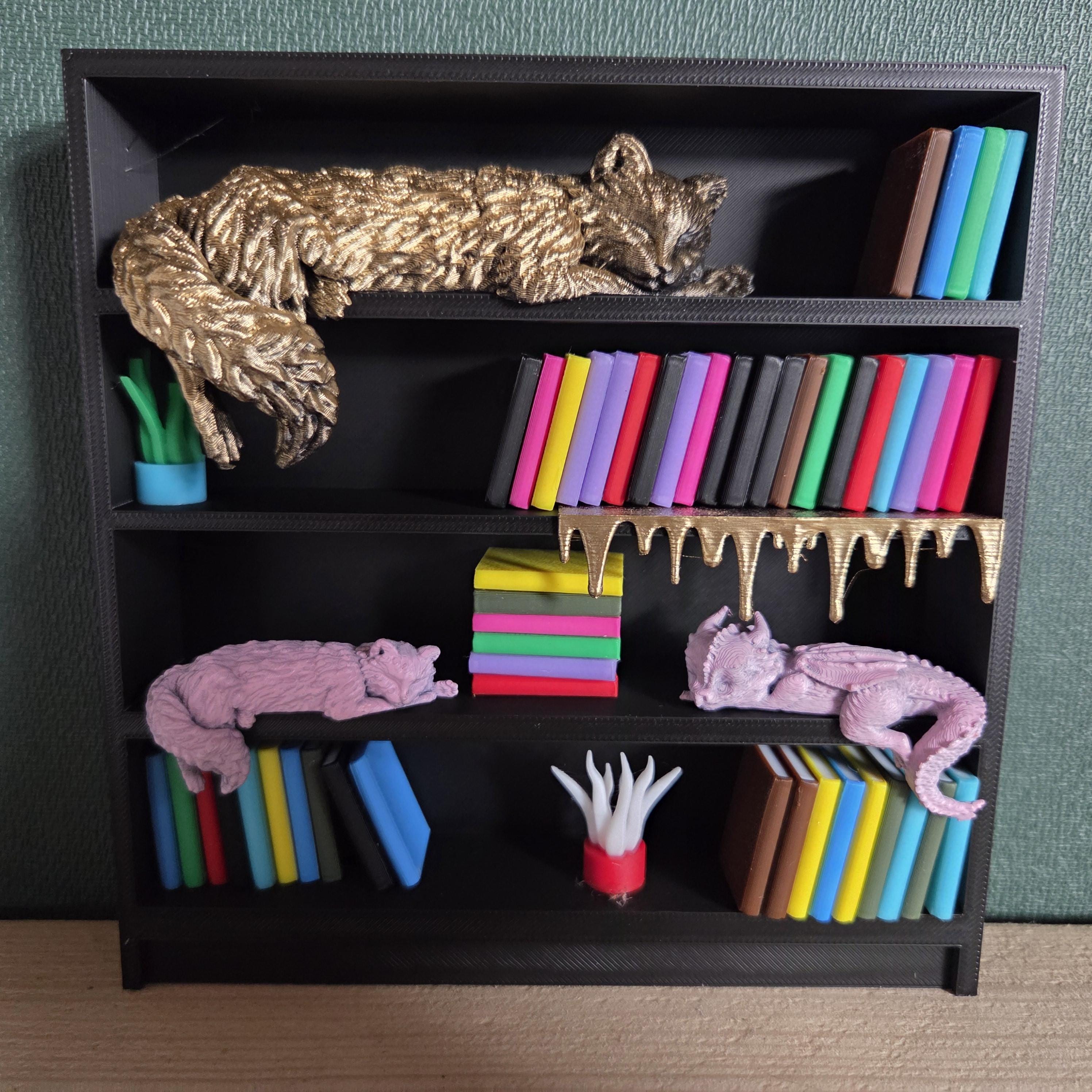 Miniature Bookshelf – Display Cabinet - Book nook bookshelf decor gift for him or her