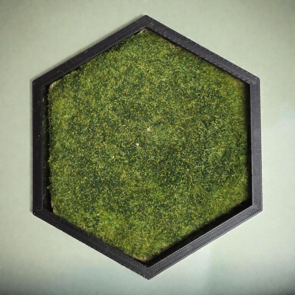 Bookish Hexagon Wall Decor with Mini Bookshelf | Cozy Reader Gift | Library Wall Art | Moss Frame Decor | Fantasy Book Nook Style