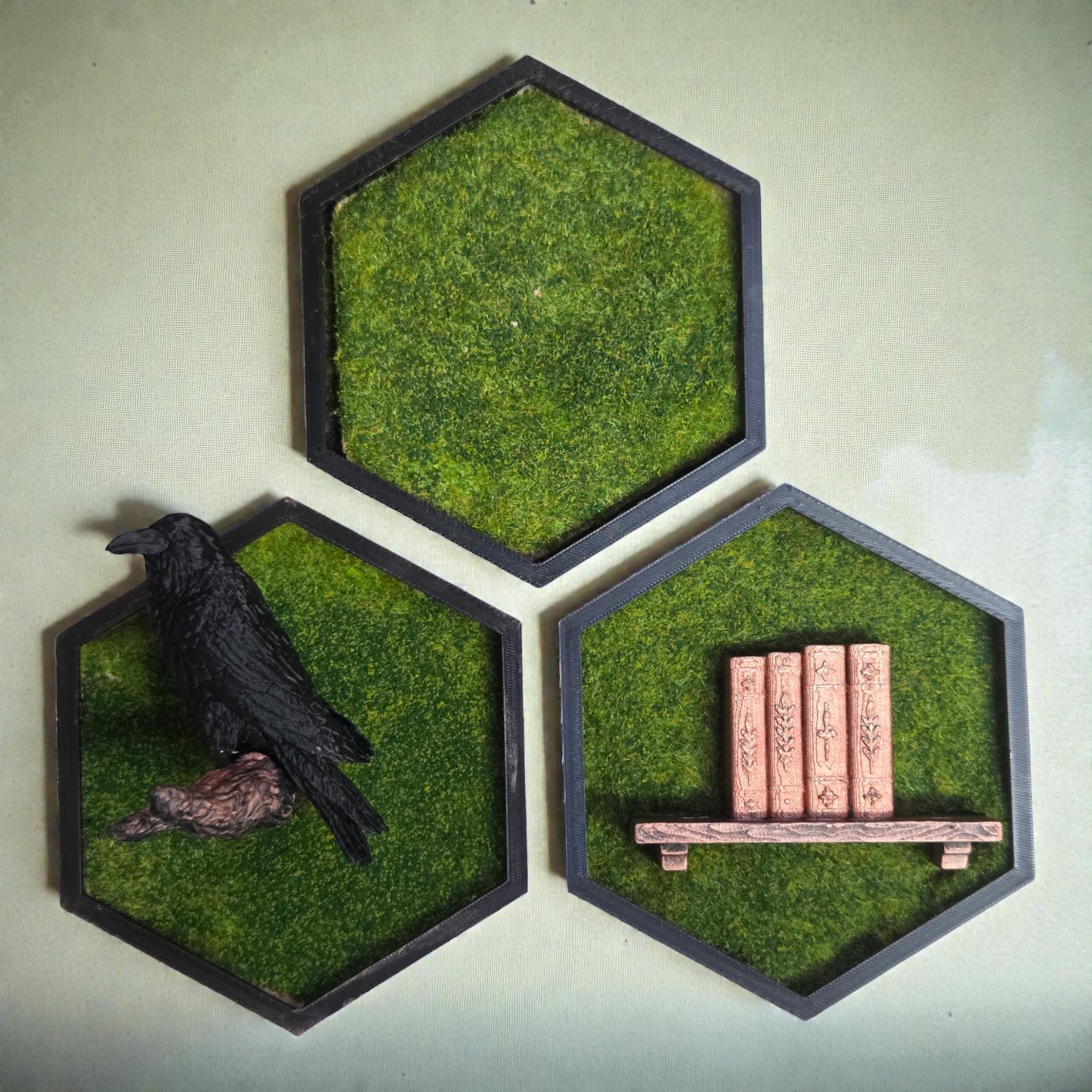 Bookish Hexagon Wall Decor with Mini Bookshelf | Cozy Reader Gift | Library Wall Art | Moss Frame Decor | Fantasy Book Nook Style