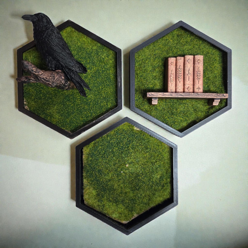Bookish Hexagon Wall Decor with Mini Bookshelf | Cozy Reader Gift | Library Wall Art | Moss Frame Decor | Fantasy Book Nook Style