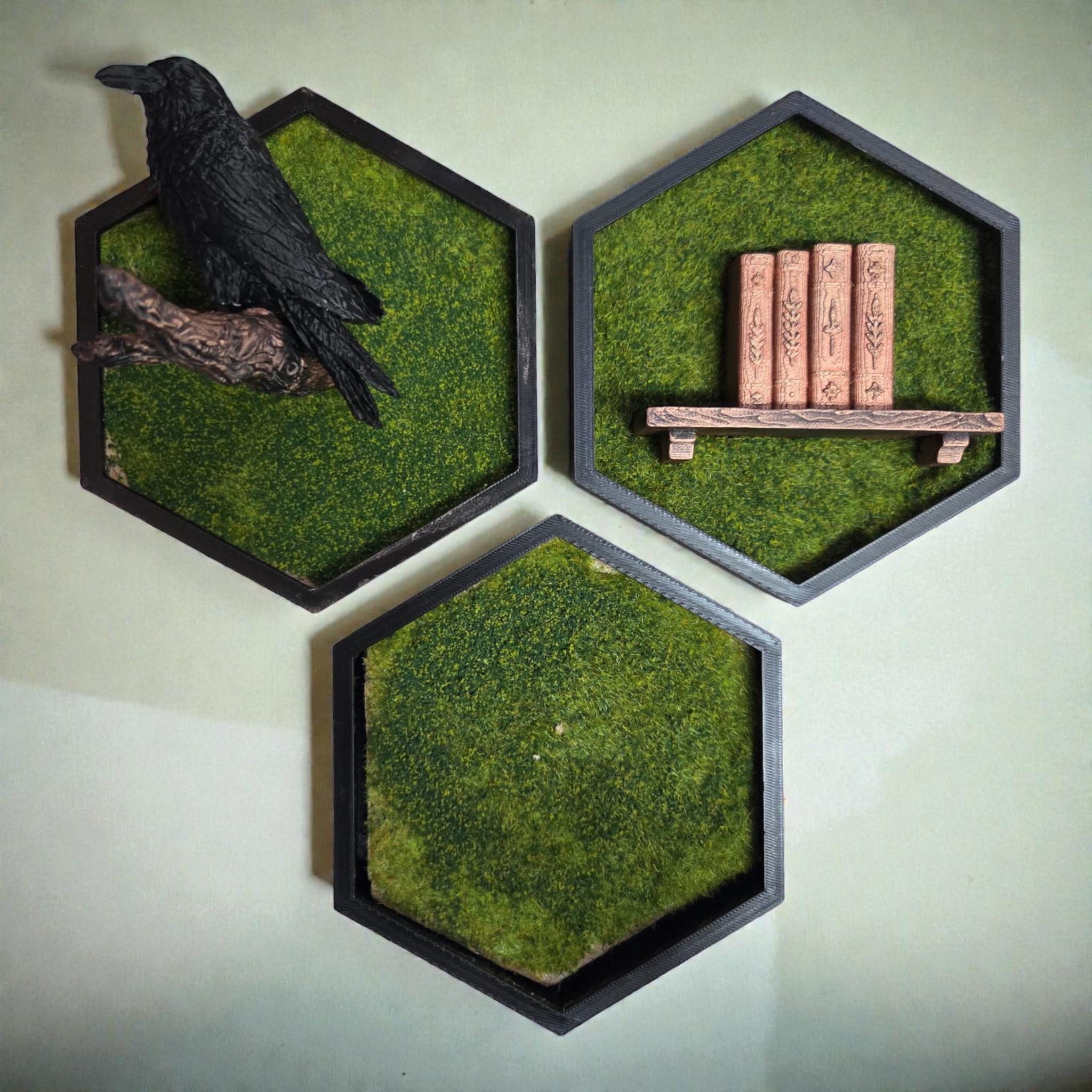 Bookish Hexagon Wall Decor with Mini Bookshelf | Cozy Reader Gift | Library Wall Art | Moss Frame Decor | Fantasy Book Nook Style