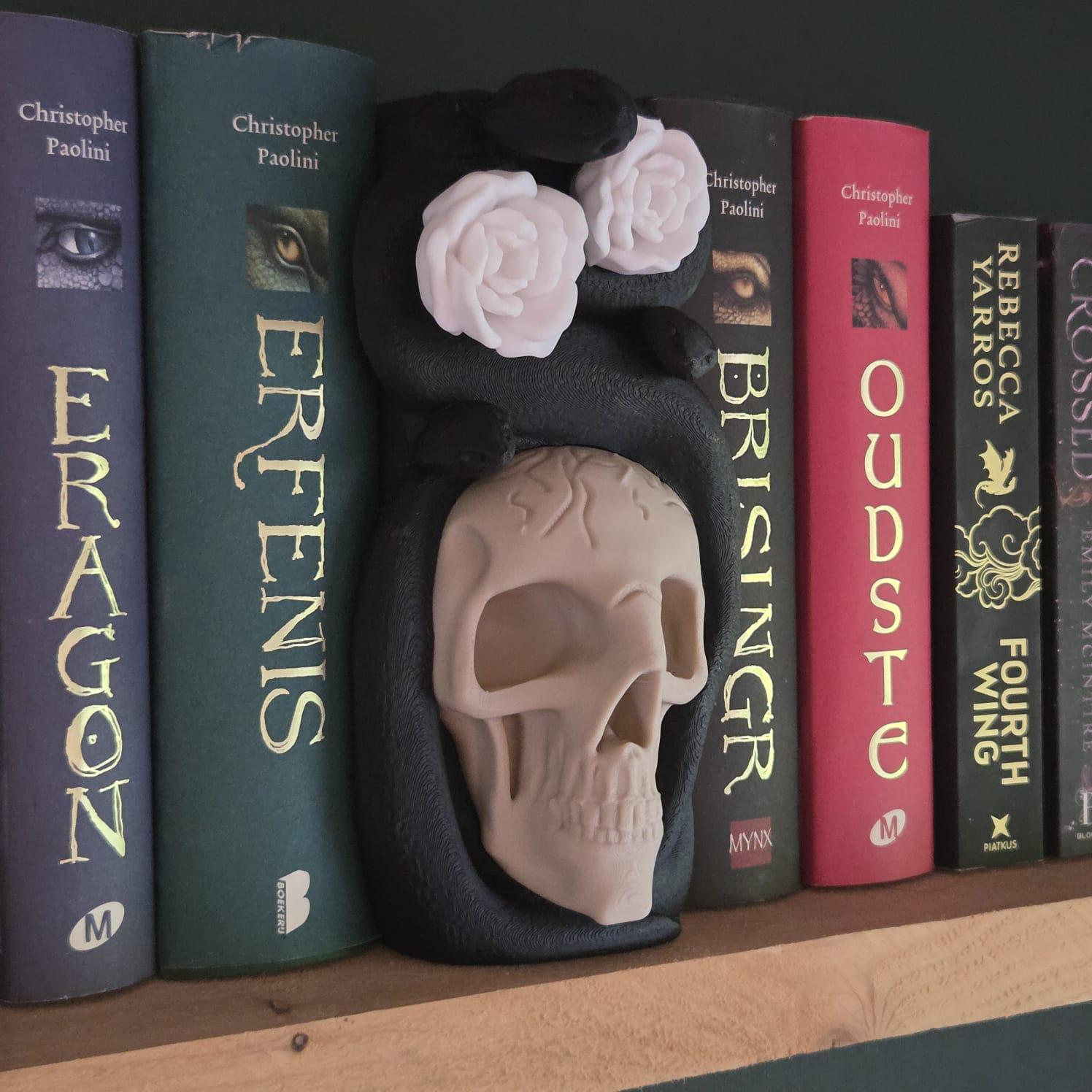 Gothic Skull Book Nook with Snake and Roses, Dark Academia Bookshelf Decor, Macabre Fantasy Shelf Insert, Book Lover Gift
