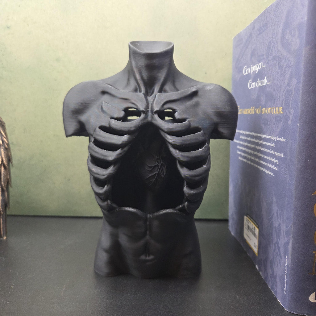 Anatomical Torso Sculpture, Gothic Anatomy Decor, Rib Cage Statue, Macabre Body Sculpture, Dark Academia Decor, Horror Shelf Decor