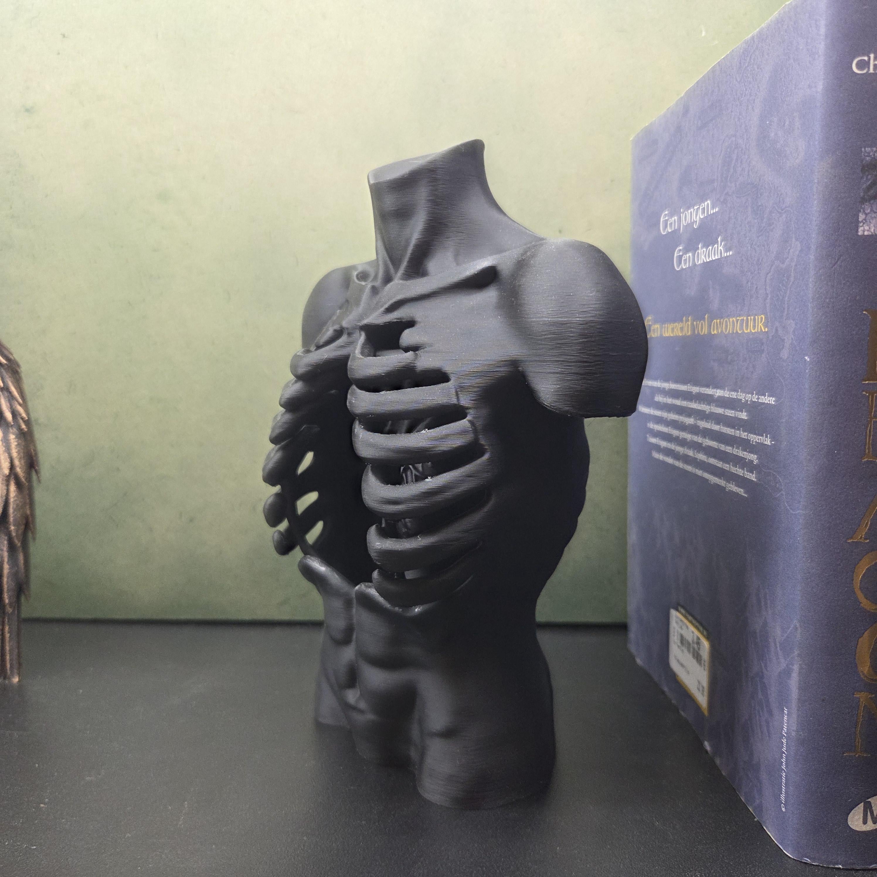 Anatomical Torso Sculpture, Gothic Anatomy Decor, Rib Cage Statue, Macabre Body Sculpture, Dark Academia Decor, Horror Shelf Decor
