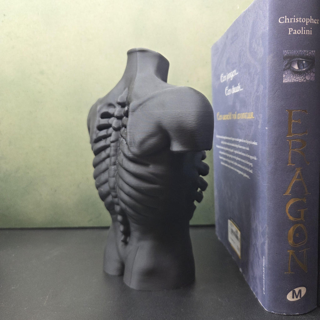 Anatomical Torso Sculpture, Gothic Anatomy Decor, Rib Cage Statue, Macabre Body Sculpture, Dark Academia Decor, Horror Shelf Decor