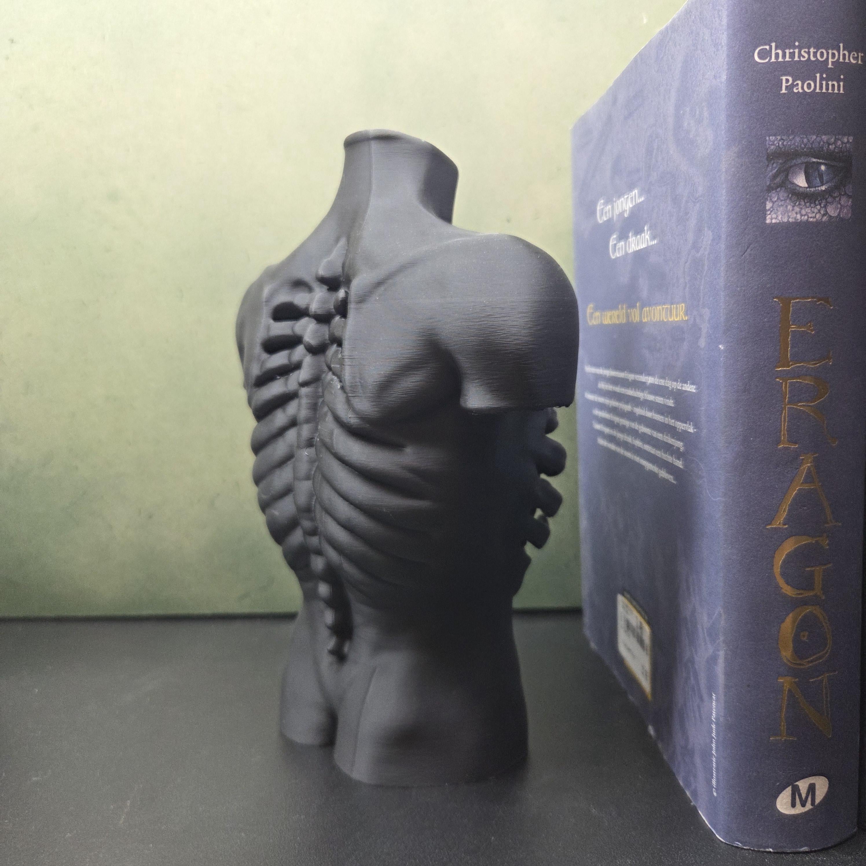 Anatomical Torso Sculpture, Gothic Anatomy Decor, Rib Cage Statue, Macabre Body Sculpture, Dark Academia Decor, Horror Shelf Decor