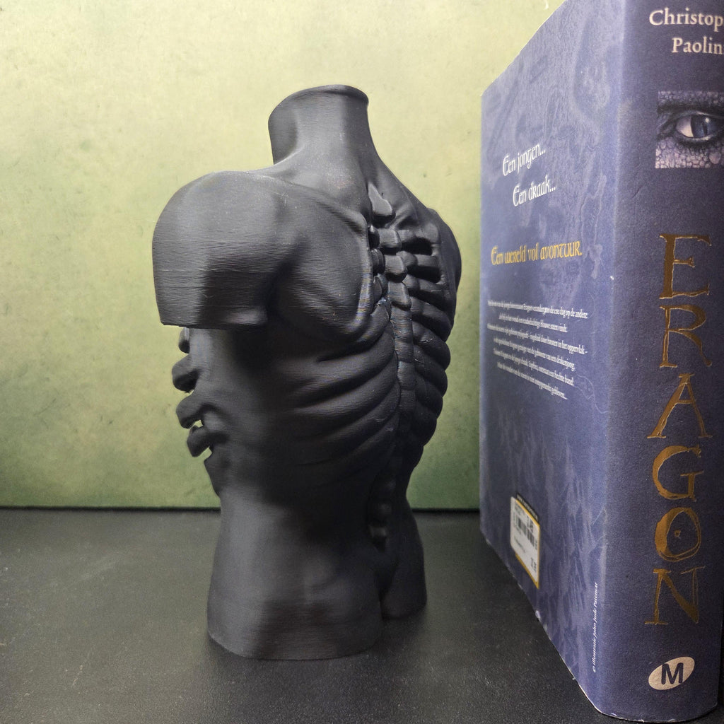 Anatomical Torso Sculpture, Gothic Anatomy Decor, Rib Cage Statue, Macabre Body Sculpture, Dark Academia Decor, Horror Shelf Decor