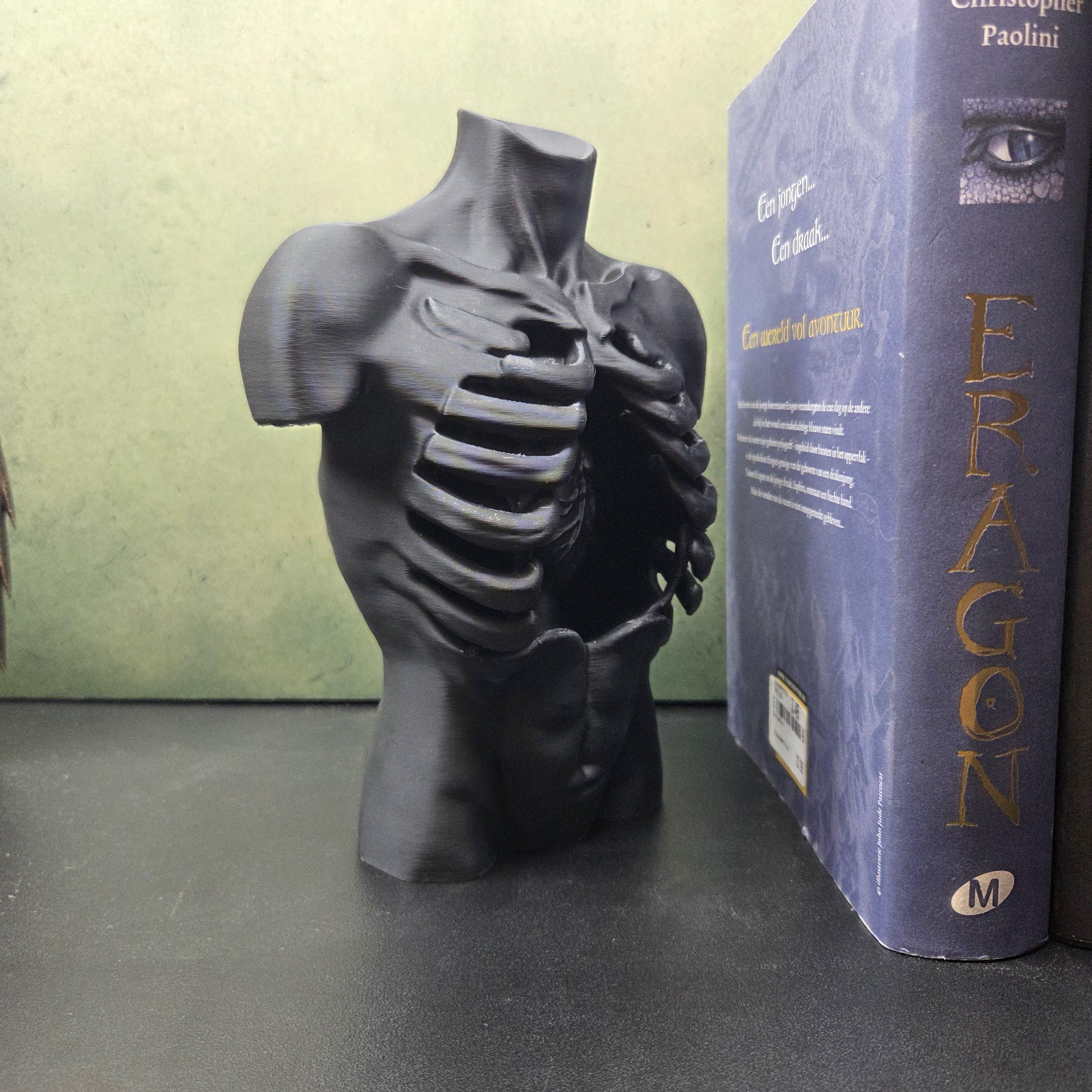 Anatomical Torso Sculpture, Gothic Anatomy Decor, Rib Cage Statue, Macabre Body Sculpture, Dark Academia Decor, Horror Shelf Decor